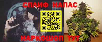 ПСИЛОЦИБИНОВЫЕ ГРИБЫ Владимир