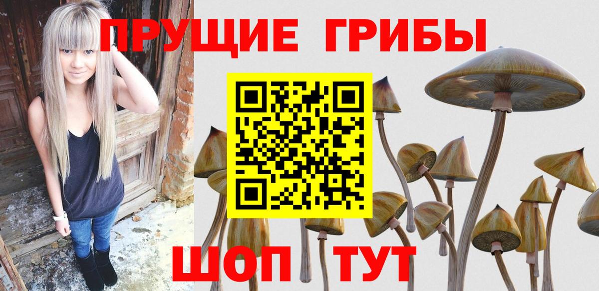 Братск  Псилоцибиновые грибы MAGIC MUSHROOMS  Вход с VPN 